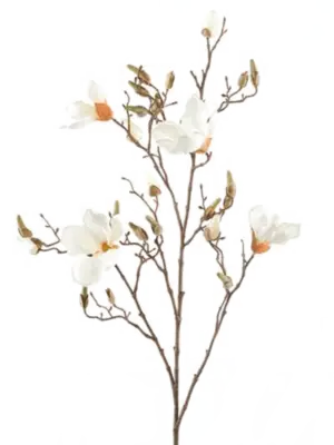 Branch Cream