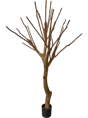 Tree (240cm)