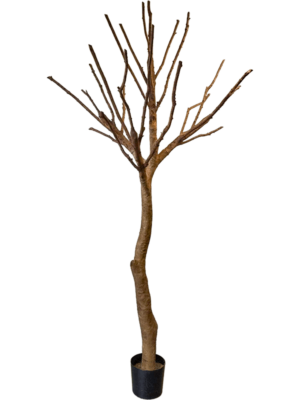 Tree (285cm)