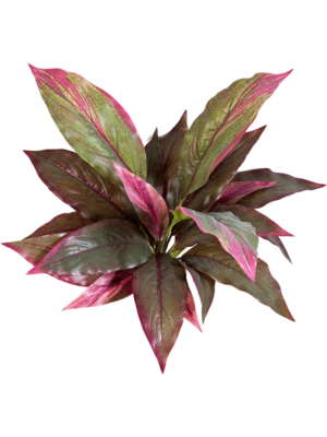 Red/green