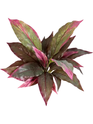 Red/green