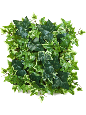 Matte Variegated