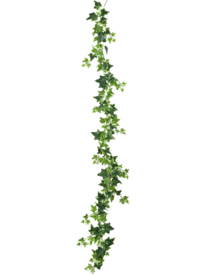 Garland Variegated