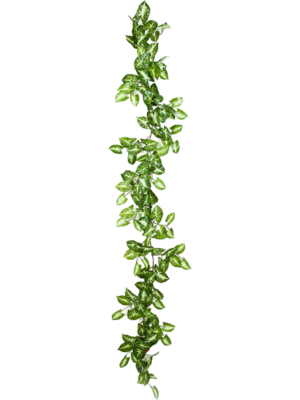 Garland