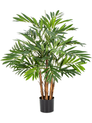Bush