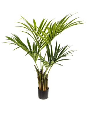 4' palm (78 lvs.)
