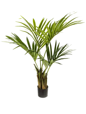 4' palm (78 lvs.)