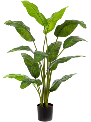 4' Palm (13 lvs.)