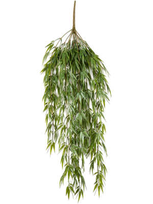 Hanging Busch