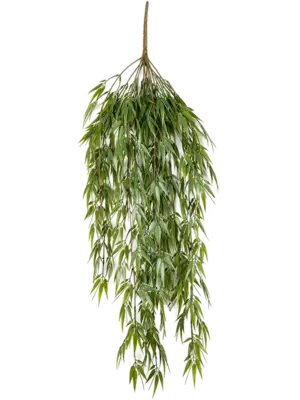 Hanging Busch