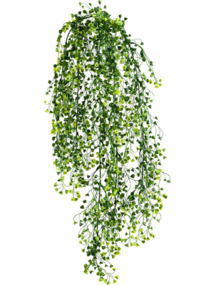 Hanging Busch (12x)