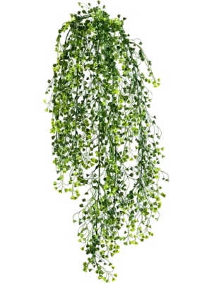 Hanging Busch (12x)