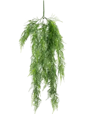 Hanging Vine