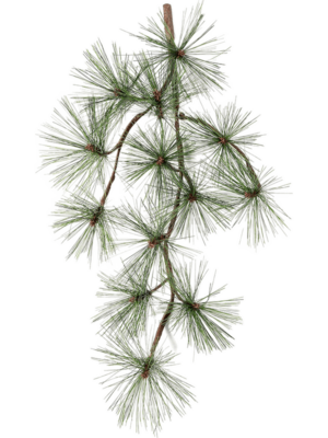 Branch (13x)