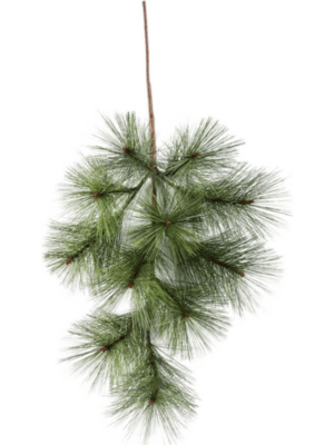 Branch (11x)