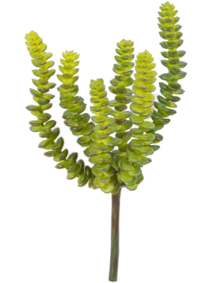 Green (6x)