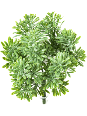 Busch Green