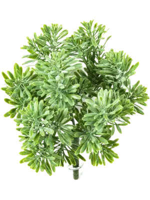 Busch Green