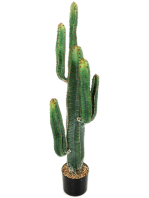 Tuff (6 lvs. 115cm)