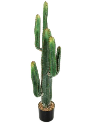 Tuff (6 lvs. 115cm)