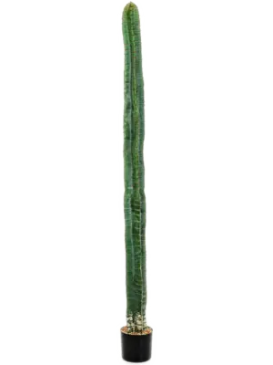 Tuff (180 cm)