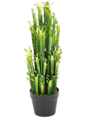 Toef (64 cm)