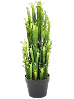 Toef (64 cm)