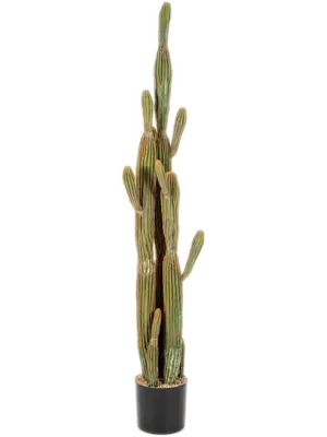 Toef (150 cm)