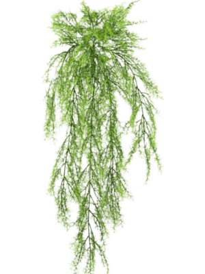 Hanging Busch (11x)