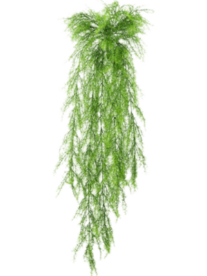 Hanging Busch (14x)