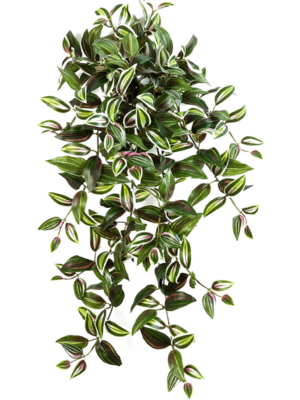 Hanging Busch (12x)