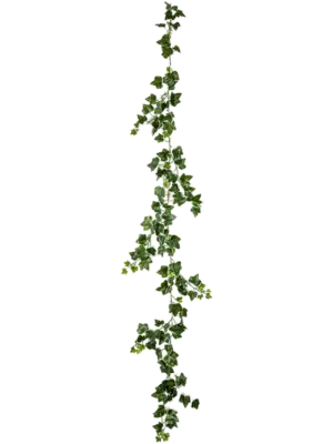 Variegated Garland (UV)