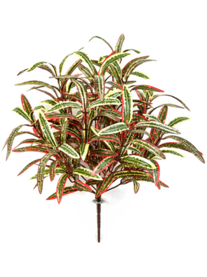 Busch Green/Red (12x)