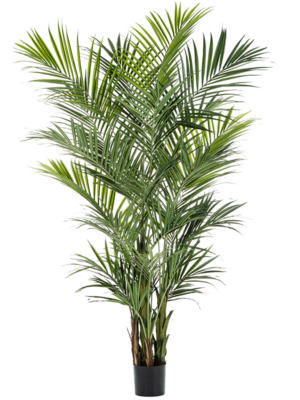 9' Palm (2 Teile