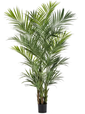 9' Palm (2 Teile
