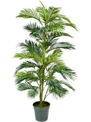Tuft