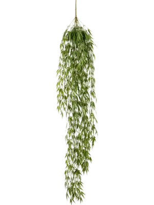Hanging Bush