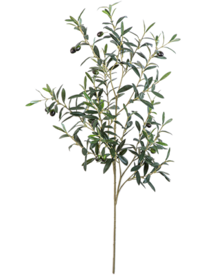 With Fruits (FR)