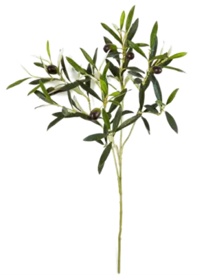 Zweig Mit Fruchte (FR)