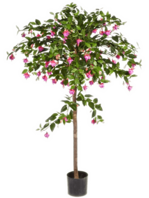 Umberella Tree (140 cm)