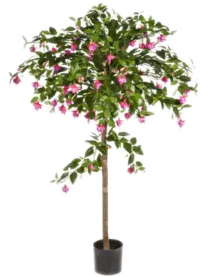 Umberella Tree (140 cm)