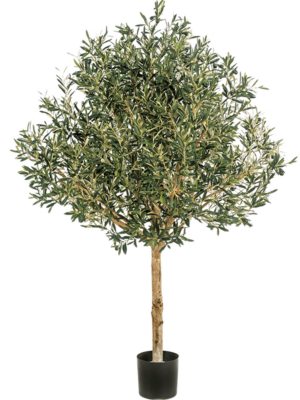 Tree Natural Trunk (210 cm)