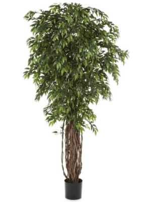 Tree Natural Trunk (150cm)