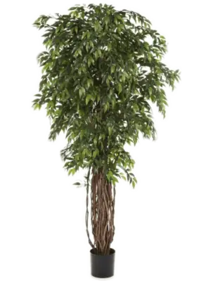 Tree Natural Trunk (150cm)