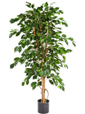 Tree Natural Trunk (210 cm)