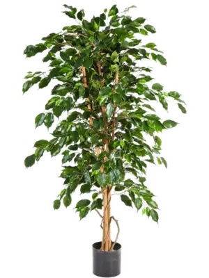 Tree Natural Trunk (210 cm)