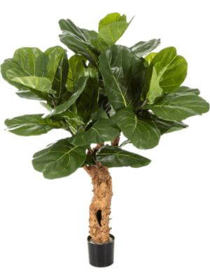 Forest Trunk With Pot