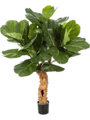 Forest Trunk With Pot