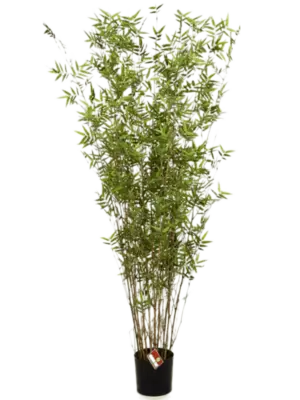 Säule