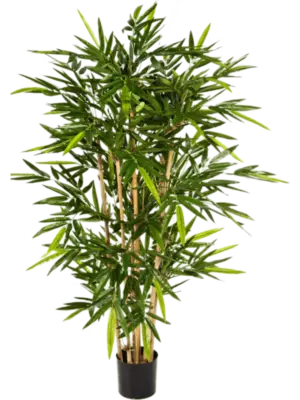 Verzweigt